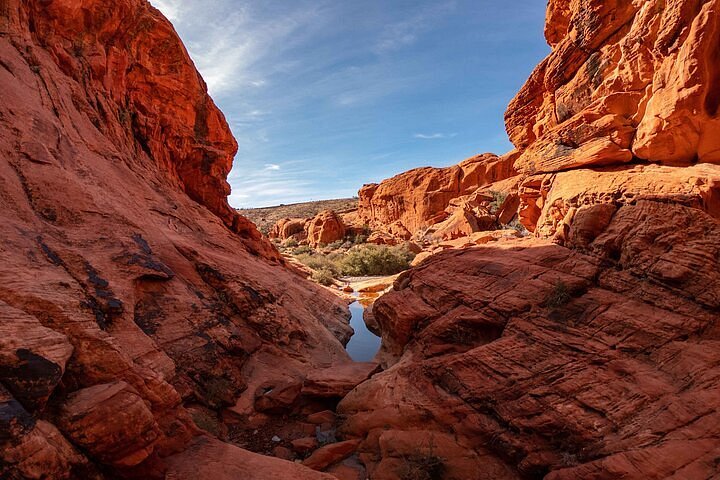 Red Rock Canyon: the desert you can reach in 30 minutes